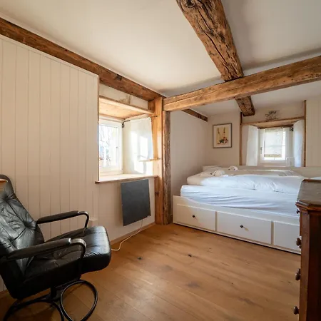 Spacious 3 Bedroom Near Flims Trin