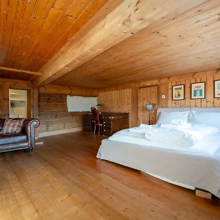 Spacious 3 Bedroom Near Flims Trin