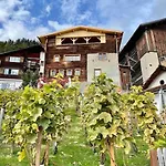 Spacious 3 Bedroom Near Flims *